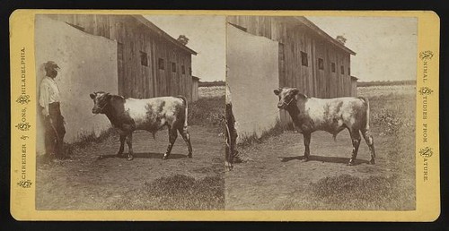 Philadelphia 1870s young - pa,